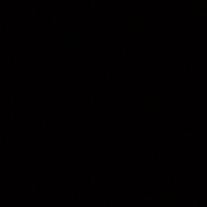 Meet your Posher, Abigail